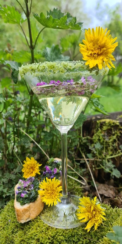 Bild zeigt Wildpflanzen-Apero Bild zeigt Wildpflanzen-Apero